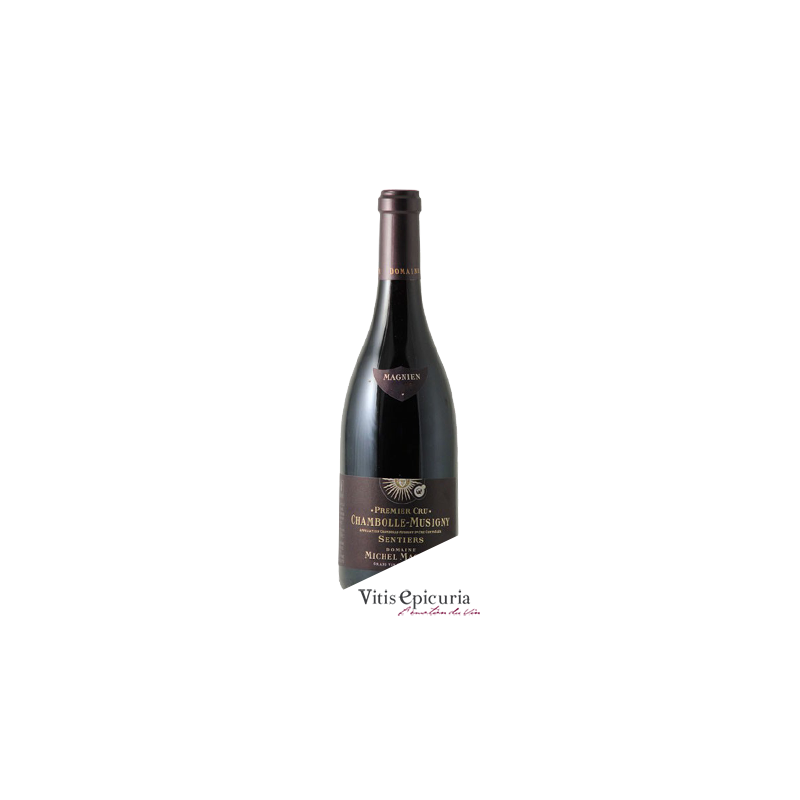 Domaine MAGNIEN MICHEL SENTIERS 2012