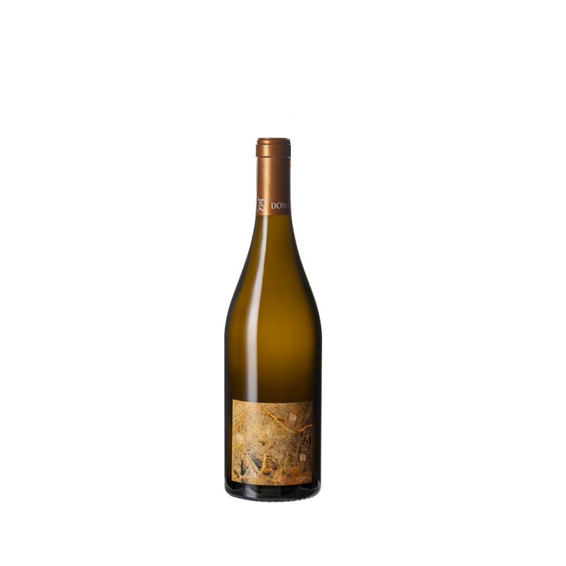 Domaine LUNEAU-PAPIN TERRE DE PIERRE 2022