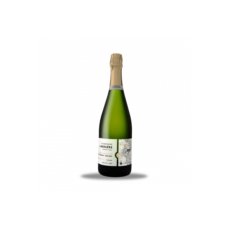 ANDRE BERGERE LES PEIGNOTTES 2017