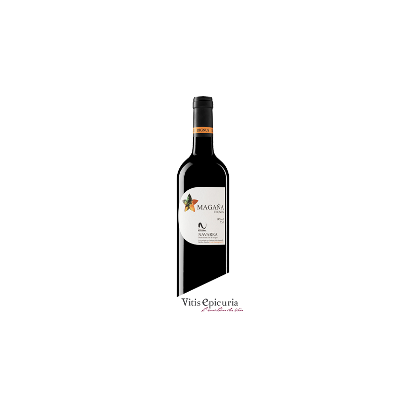 Domaine VIÑA MAGAÑA MERLOT 2001