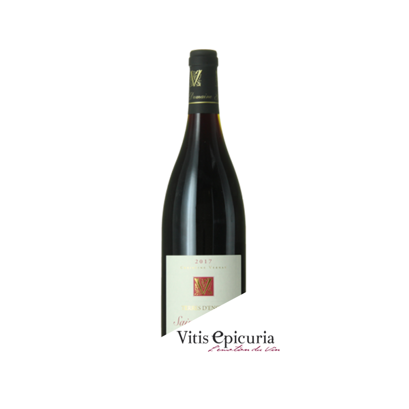 Domaine VERNAY GEORGES TERRE D'ENCRE 2017
