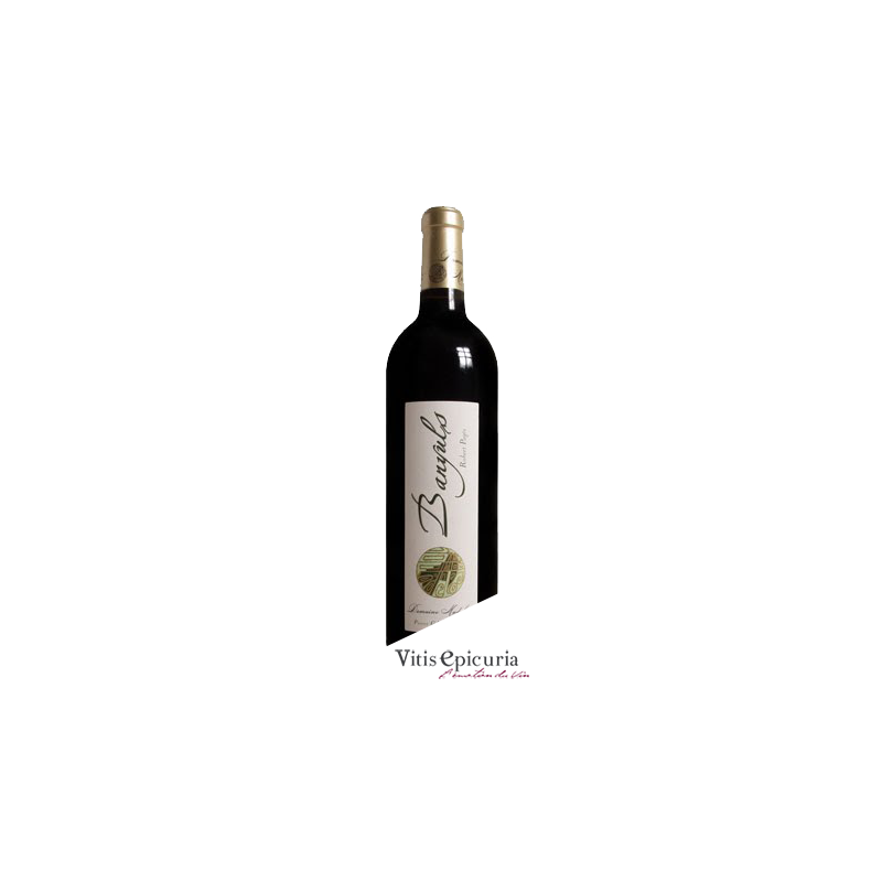 Domaine MADELOC ROBERT PAGES