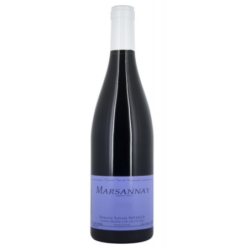 Domaine PATAILLE SYLVAIN 2023