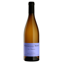 Domaine PATAILLE SYLVAIN LE CHAPITRE 2023