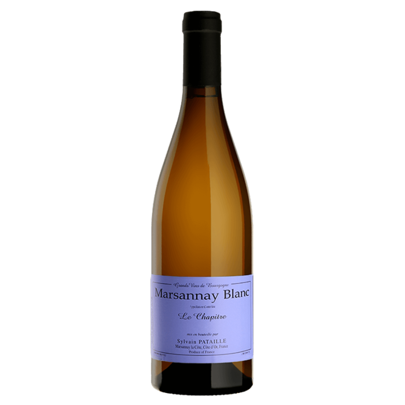 Domaine PATAILLE SYLVAIN LE CHAPITRE 2023