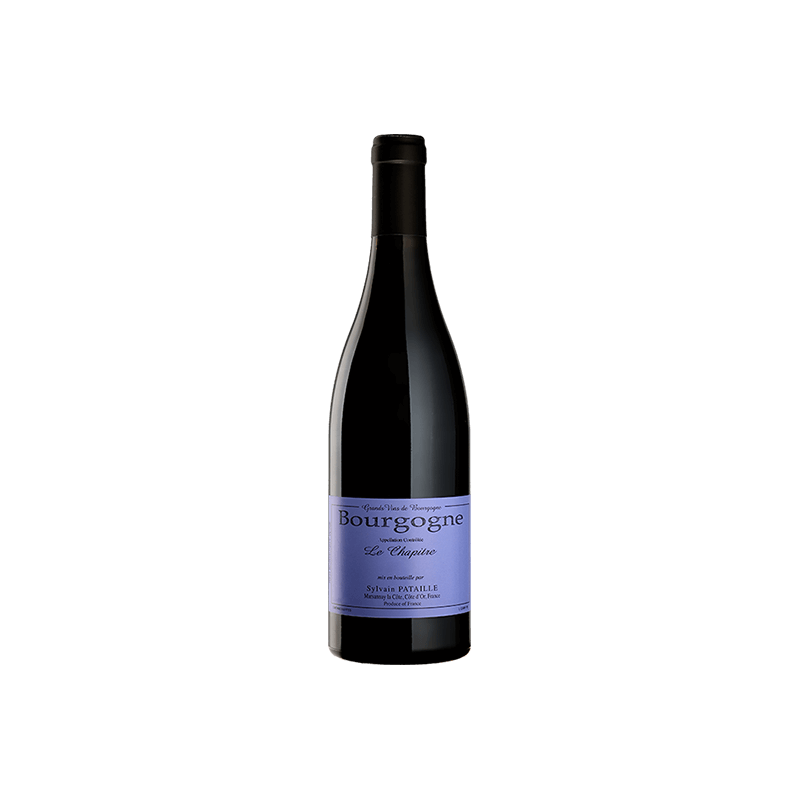 Domaine PATAILLE SYLVAIN LE CHAPITRE 2023