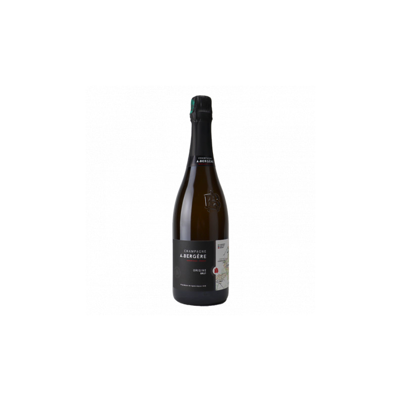 ANDRE BERGERE ORIGINE