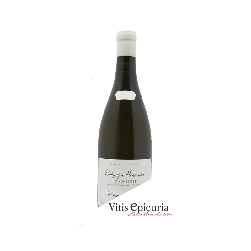 Domaine SAUZET ETIENNE LES COMBETTES 2023