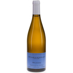 Domaine PATAILLE SYLVAIN 2023