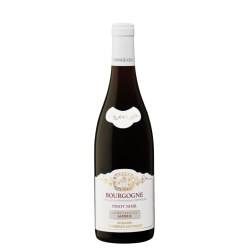 Domaine MONGEARD-MUGNERET CUVEE SAPIDUS 2020