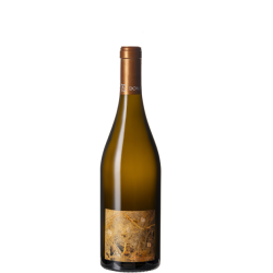 Domaine LUNEAU-PAPIN TERRE DE PIERRE 2022