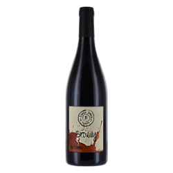 Domaine ROMAIN JAMBON LES ERONNES 2023