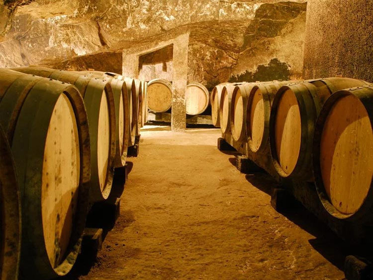 Domaine Yannick Amirault