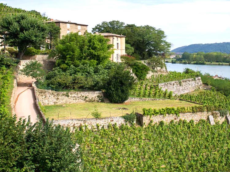 Chateau Grillet