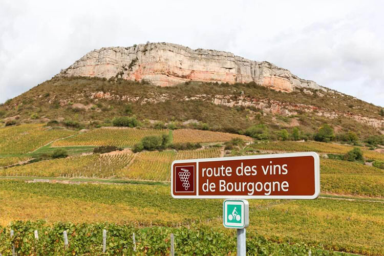 Vins de bourgogne