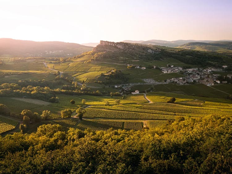 Les vins du maconnais