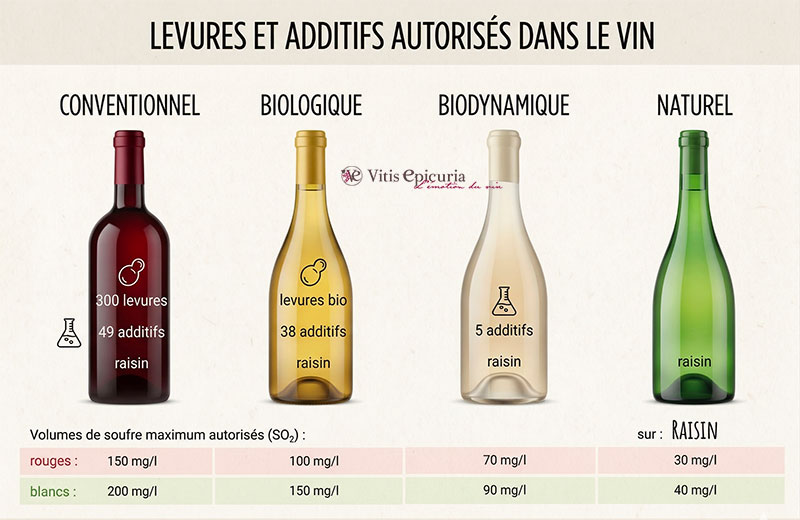 Levures et additifs dans le vin