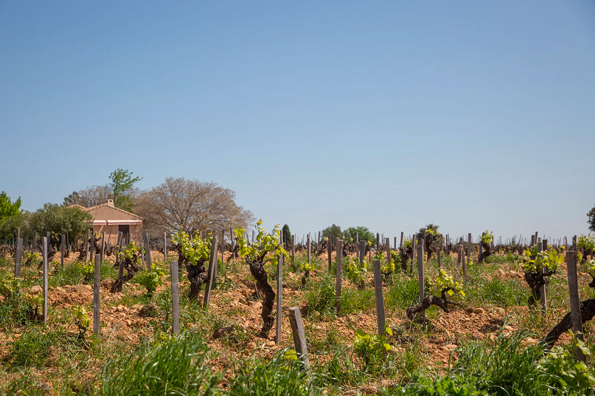 Domaine Henri Bonneau