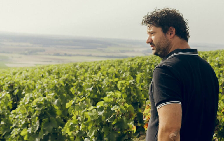 Domaine Vincent Pinard